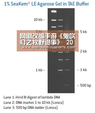 网剧改编手游《鬼吹灯之牧野诡事》 2017年Q2上线‘bandaotiyu’(图1)