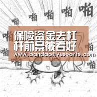 保险资金去杠杆前景被看好 持续对接实体经济‘半岛体育官方登录官网’(图3) 半岛体育官方网站