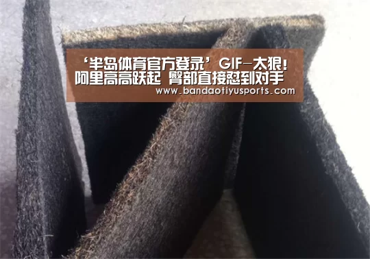 ‘半岛体育官方登录’GIF-太狠!阿里高高跃起 臀部直接怼到对手脸上(图3) 半岛体育官方登录