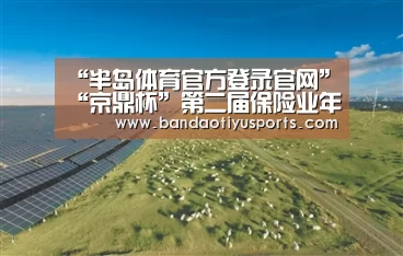 “半岛体育官方登录官网”“京鼎杯”第二届保险业年度(图3) 半岛体育官方登录官网
